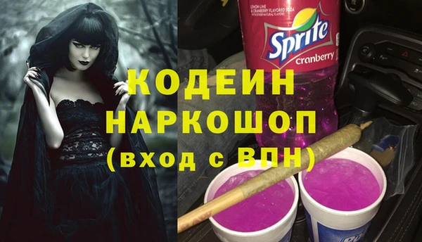 дурь Алексин