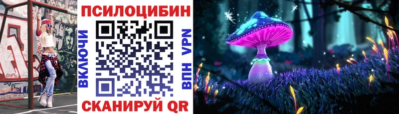 ссылка на мегу как зайти  Цимлянск  Псилоцибиновые грибы мицелий 